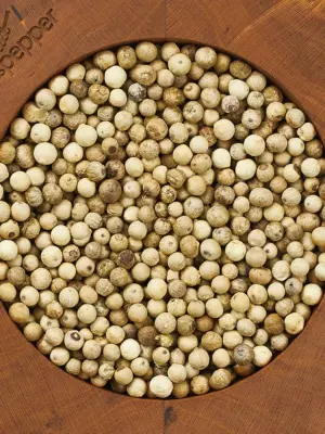 Pfeffer Muntok Blanc 40g Pfefferkörner